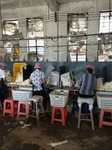 广东再生资源回收利用 网优再生网助力废旧物资高效流转